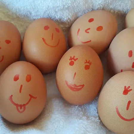 Ringhotel Reubel Hotel